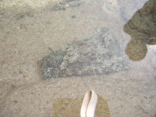 4a101