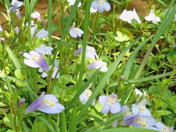 4a98